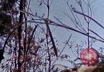 Image of 6th Marine Division 29th Regiment Okinawa Ryukyu Islands, 1945, second 56 stock footage video 65675052841