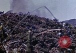 Image of 29th Marine Division Okinawa Ryukyu Islands, 1945, second 50 stock footage video 65675052842
