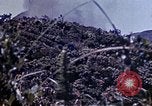 Image of 29th Marine Division Okinawa Ryukyu Islands, 1945, second 51 stock footage video 65675052842