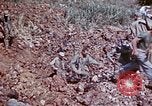 Image of 29th Marine Division Okinawa Ryukyu Islands, 1945, second 29 stock footage video 65675052843