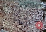 Image of 29th Marine Division Okinawa Ryukyu Islands, 1945, second 38 stock footage video 65675052843