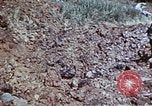 Image of 29th Marine Division Okinawa Ryukyu Islands, 1945, second 40 stock footage video 65675052843