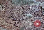 Image of 29th Marine Division Okinawa Ryukyu Islands, 1945, second 45 stock footage video 65675052843