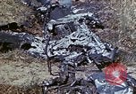 Image of 29th Marine Division Okinawa Ryukyu Islands, 1945, second 47 stock footage video 65675052843