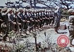 Image of 29th Marine Division Okinawa Ryukyu Islands, 1945, second 62 stock footage video 65675052844