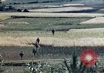 Image des Marines des États-Unis Okinawa îles Ryukyu, 1945, de la seconde 49 séquences d'archives historiques vidéo 65675052851
