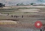 Image des Marines des États-Unis Okinawa îles Ryukyu, 1945, de la seconde 60 séquences d'archives historiques vidéo 65675052851