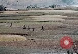 Image des Marines des États-Unis Okinawa îles Ryukyu, 1945, de la seconde 61 séquences d'archives historiques vidéo 65675052851