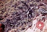 Immagine di Stati Uniti Marines Okinawa isole Ryukyu, 1945, secondo 46 filmato di repertorio 65675052852