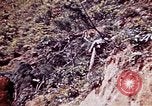 Immagine di Stati Uniti Marines Okinawa isole Ryukyu, 1945, secondo 48 filmato di repertorio 65675052852