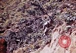 Immagine di Stati Uniti Marines Okinawa isole Ryukyu, 1945, secondo 49 filmato di repertorio 65675052852