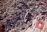 Immagine di Stati Uniti Marines Okinawa isole Ryukyu, 1945, secondo 50 filmato di repertorio 65675052852