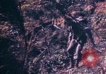 Immagine di Stati Uniti Marines Okinawa isole Ryukyu, 1945, secondo 55 filmato di repertorio 65675052852
