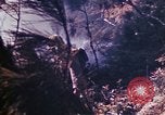 Immagine di Stati Uniti Marines Okinawa isole Ryukyu, 1945, secondo 61 filmato di repertorio 65675052852