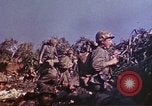 Image of 6th Marine Division 4th Marines Okinawa Ryukyu Islands, 1945, second 58 stock footage video 65675052855