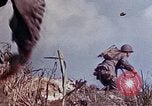 Image of 6th Marine Division 4th Marines Okinawa Ryukyu Islands, 1945, second 26 stock footage video 65675052856