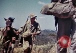 Image of 6th Marine Division 4th Marines Okinawa Ryukyu Islands, 1945, second 9 stock footage video 65675052862