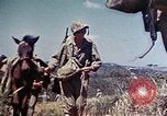 Image of 6th Marine Division 4th Marines Okinawa Ryukyu Islands, 1945, second 10 stock footage video 65675052862