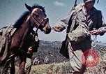 Image of 6th Marine Division 4th Marines Okinawa Ryukyu Islands, 1945, second 14 stock footage video 65675052862