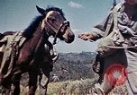 Image of 6th Marine Division 4th Marines Okinawa Ryukyu Islands, 1945, second 15 stock footage video 65675052862