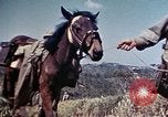 Image of 6th Marine Division 4th Marines Okinawa Ryukyu Islands, 1945, second 16 stock footage video 65675052862