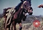 Image of 6th Marine Division 4th Marines Okinawa Ryukyu Islands, 1945, second 17 stock footage video 65675052862