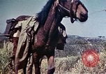 Image of 6th Marine Division 4th Marines Okinawa Ryukyu Islands, 1945, second 18 stock footage video 65675052862
