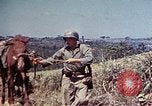 Image of 6th Marine Division 4th Marines Okinawa Ryukyu Islands, 1945, second 19 stock footage video 65675052862