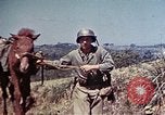Image of 6th Marine Division 4th Marines Okinawa Ryukyu Islands, 1945, second 20 stock footage video 65675052862