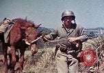 Image of 6th Marine Division 4th Marines Okinawa Ryukyu Islands, 1945, second 21 stock footage video 65675052862