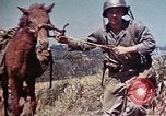 Image of 6th Marine Division 4th Marines Okinawa Ryukyu Islands, 1945, second 22 stock footage video 65675052862