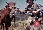 Image of 6th Marine Division 4th Marines Okinawa Ryukyu Islands, 1945, second 23 stock footage video 65675052862