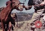 Image of 6th Marine Division 4th Marines Okinawa Ryukyu Islands, 1945, second 24 stock footage video 65675052862