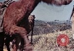 Image of 6th Marine Division 4th Marines Okinawa Ryukyu Islands, 1945, second 25 stock footage video 65675052862