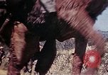 Image of 6th Marine Division 4th Marines Okinawa Ryukyu Islands, 1945, second 26 stock footage video 65675052862