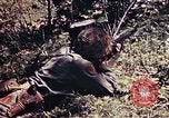 Image of 6th Marine Division 4th Marines Okinawa Ryukyu Islands, 1945, second 39 stock footage video 65675052862