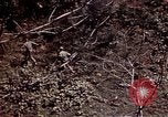 Image of 6th Marine Division 4th Marines Okinawa Ryukyu Islands, 1945, second 51 stock footage video 65675052862