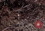 Image of 6th Marine Division 4th Marines Okinawa Ryukyu Islands, 1945, second 52 stock footage video 65675052862