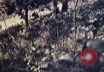 Image of 1st Battalion 4th Marines Okinawa Ryukyu Islands, 1945, second 12 stock footage video 65675052863