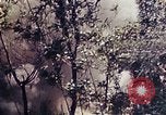 Image of 1st Battalion 4th Marines Okinawa Ryukyu Islands, 1945, second 13 stock footage video 65675052863