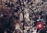 Image of 1st Battalion 4th Marines Okinawa Ryukyu Islands, 1945, second 14 stock footage video 65675052863
