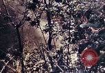 Image of 1st Battalion 4th Marines Okinawa Ryukyu Islands, 1945, second 15 stock footage video 65675052863