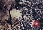 Image of 1st Battalion 4th Marines Okinawa Ryukyu Islands, 1945, second 18 stock footage video 65675052863