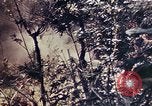 Image of 1st Battalion 4th Marines Okinawa Ryukyu Islands, 1945, second 19 stock footage video 65675052863