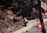 Image of 1st Battalion 4th Marines Okinawa Ryukyu Islands, 1945, second 26 stock footage video 65675052863