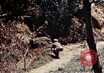 Image of 1st Battalion 4th Marines Okinawa Ryukyu Islands, 1945, second 27 stock footage video 65675052863