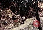 Image of 1st Battalion 4th Marines Okinawa Ryukyu Islands, 1945, second 28 stock footage video 65675052863