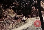 Image of 1st Battalion 4th Marines Okinawa Ryukyu Islands, 1945, second 33 stock footage video 65675052863