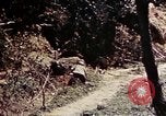 Image of 1st Battalion 4th Marines Okinawa Ryukyu Islands, 1945, second 34 stock footage video 65675052863