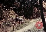 Image of 1st Battalion 4th Marines Okinawa Ryukyu Islands, 1945, second 35 stock footage video 65675052863
